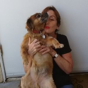 Meet your Posher, Jane